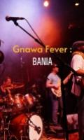 Gnawa Fever : BANIA