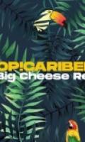 TROP!CARIBEEN! invite BIG CHEESE RECORDS