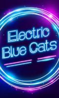 Concert Electric Blue Cats