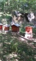 Découverte des ruches du Fort de Sucy - Journées du Patrimoine 2022