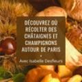 Sortie Récolte de châtaignes et champignons autour de Paris
