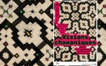 Visions Chamaniques, Arts de l'Ayahuasca en Amazonie...