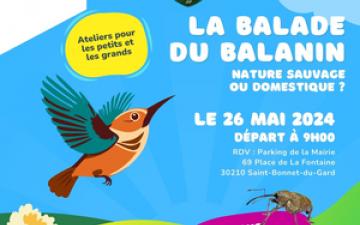 Fête de la Nature - La Balade du Balanin : Nature...